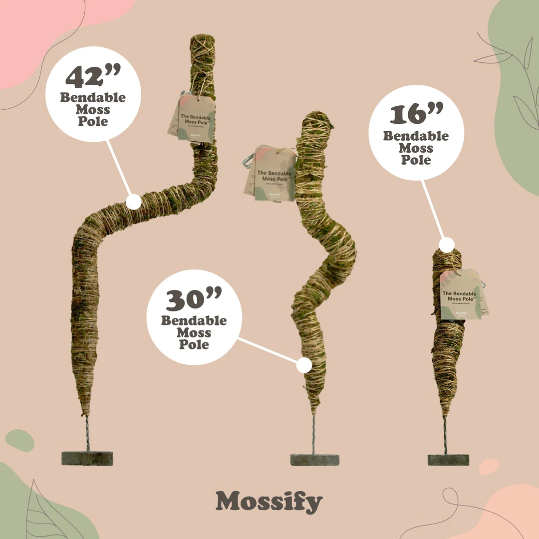 Mossify Poles